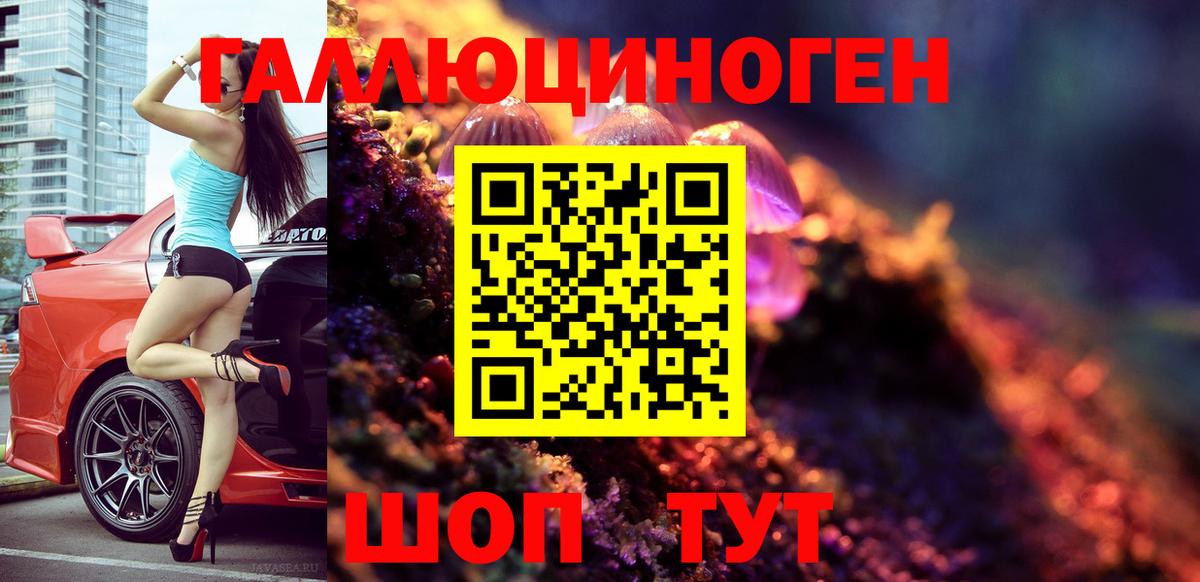 Галлюциногенные грибы Psilocybe Октябрьский